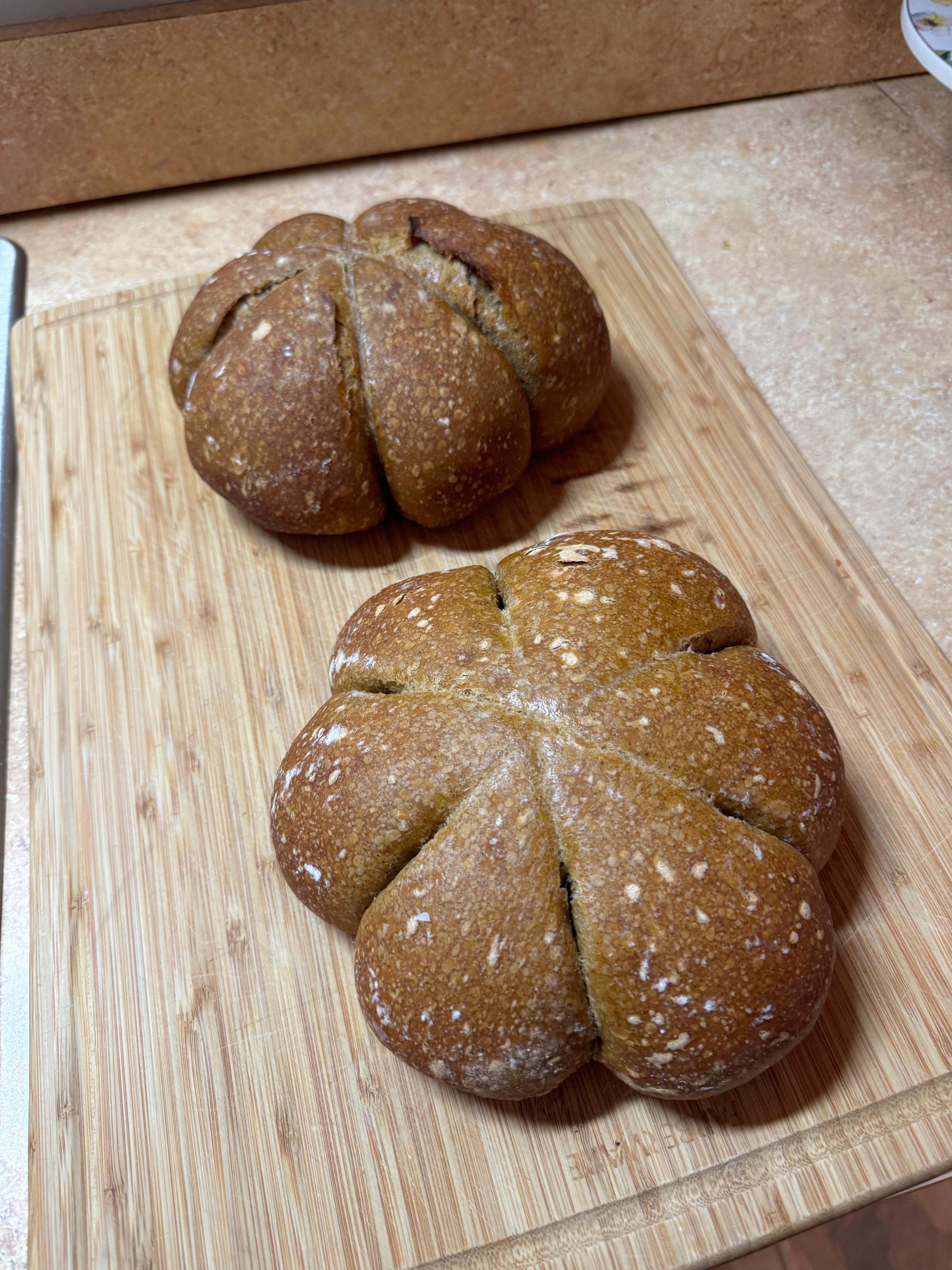 Pumpkin Sourdough Loaf